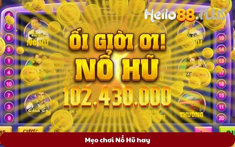 Meo-choi-No-Hu-hay